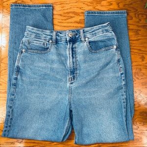 American Eagle High Rise Curvy Mom Jean - Size 6